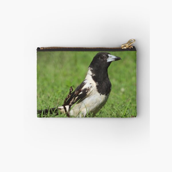 Item preview, Pied Butcher Bird designed and sold by Jenny  Dyer.