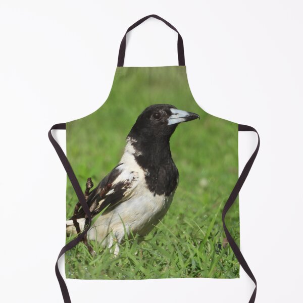 Item preview, Pied Butcher Bird designed and sold by Jenny Dyer.