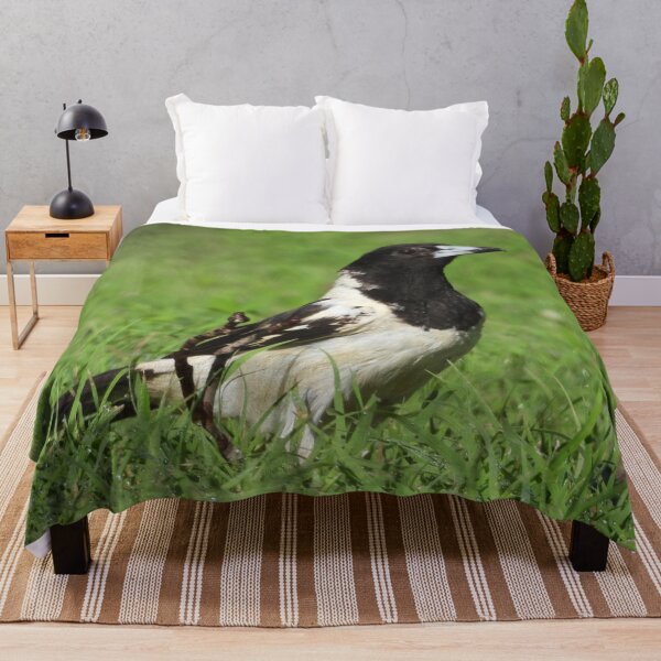 Item preview, Pied Butcher Bird designed and sold by Jenny Dyer.