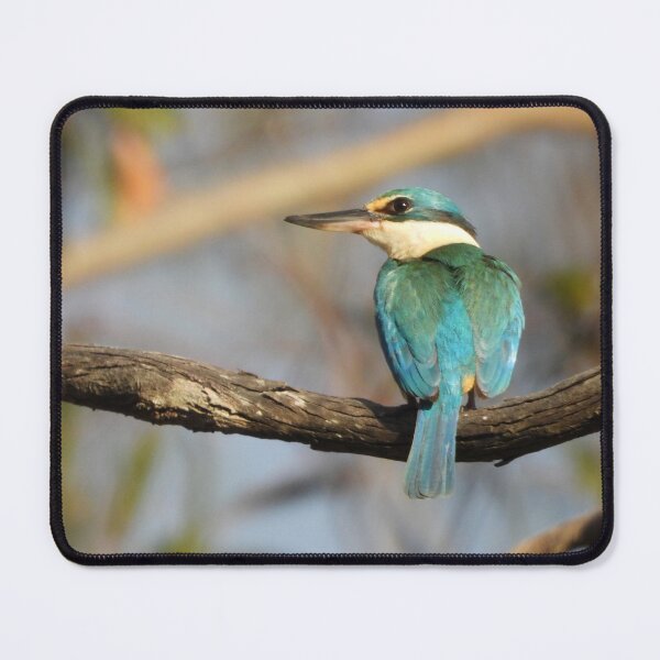 Item preview, Sacred Kingfisher on a limb designed and sold by Jenny  Dyer.