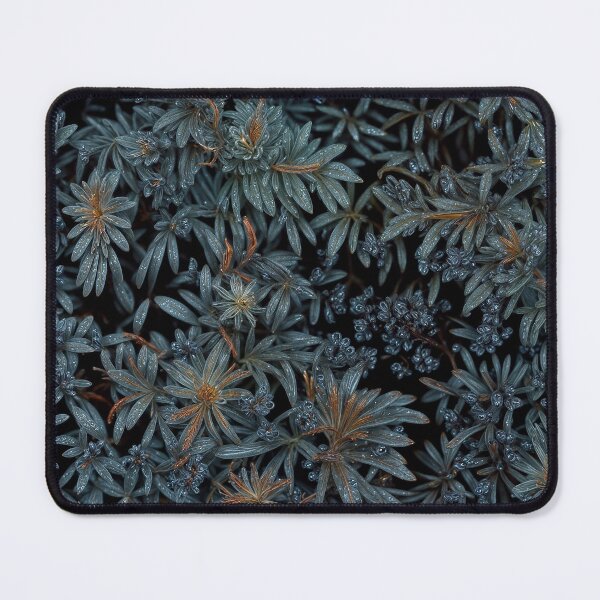 Aperçu de l'œuvre Flowers field 25 créée et vendue par olivier duchossoir.