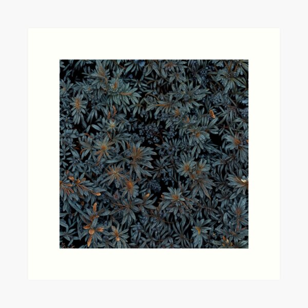 Aperçu de l'œuvre Flowers field 25 créée et vendue par olivier duchossoir.