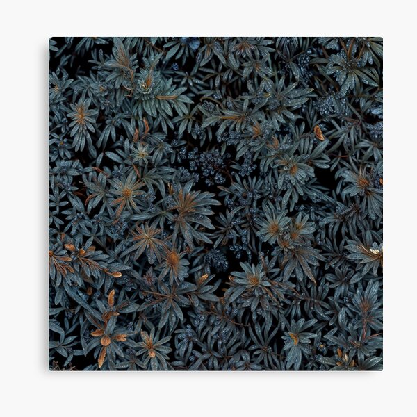 Aperçu de l'œuvre Flowers field 25 créée et vendue par olivier duchossoir.