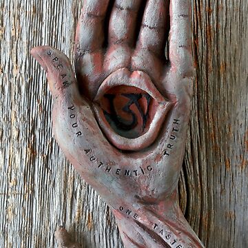 Artwork thumbnail, Speak Your Truth by mona shiber