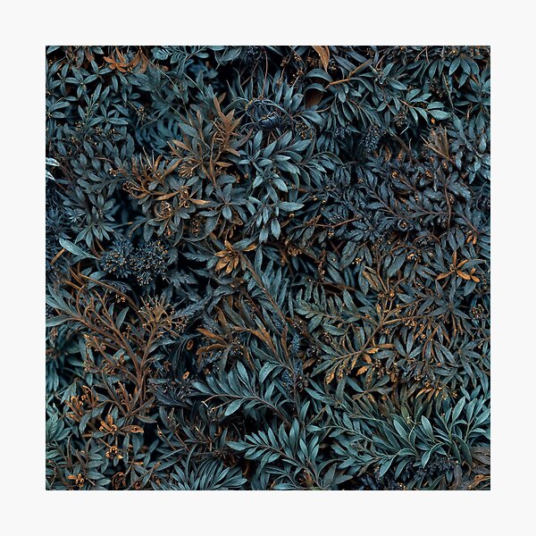 Aperçu de l'œuvre Flowers field 26 créée et vendue par olivier duchossoir.
