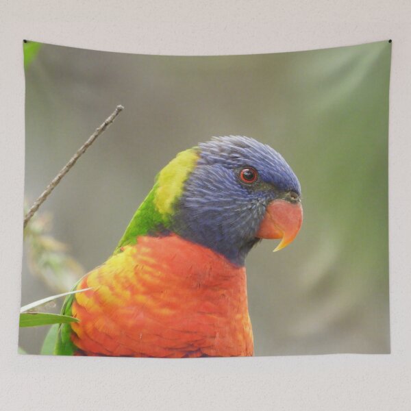 Item preview, Rainbow Lorikeet designed and sold by Jenny  Dyer.
