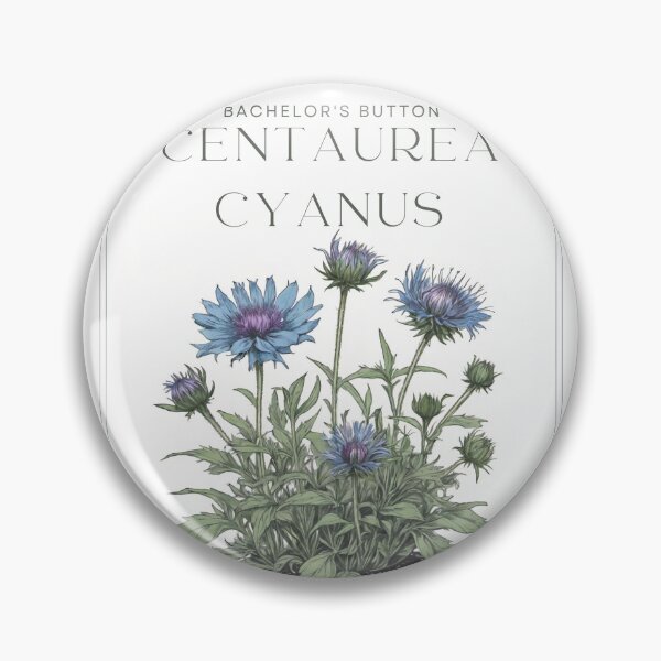 Item preview, Bachelor's Button Centaurea cyanus rustic sketch by CallisC Arts ⭐⭐⭐⭐⭐ designed and sold by CallisC-Arts.