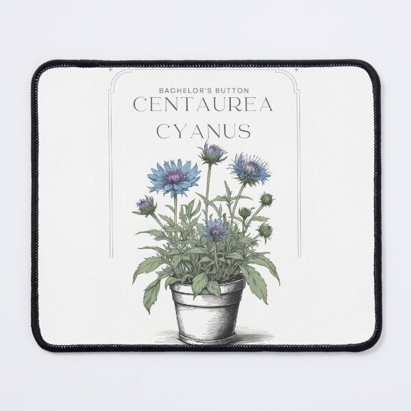 Item preview, Bachelor's Button Centaurea cyanus rustic sketch by CallisC Arts ⭐⭐⭐⭐⭐ designed and sold by CallisC-Arts.
