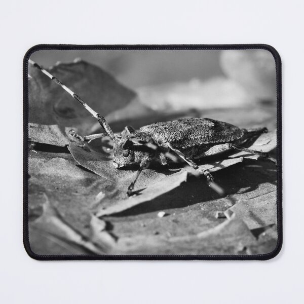 Item preview, Pine lover. Timberman beetle bw designed and sold by Jouko Lehto Photography.