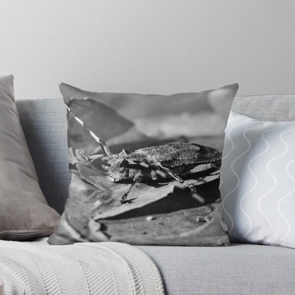 Item preview, Amante del pino. Escarabajo Timberman bw designed and sold by Jouko Lehto Photography.
