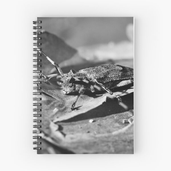 Item preview, Pine lover. Timberman beetle bw designed and sold by Jouko Lehto Photography.