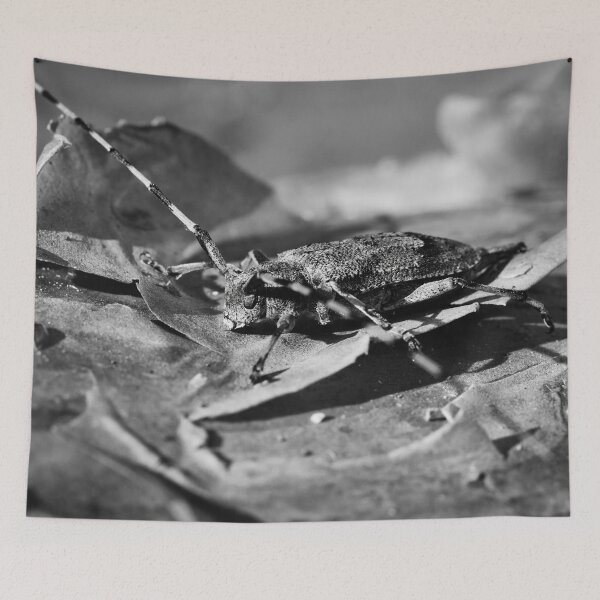Item preview, Pine lover. Timberman beetle bw designed and sold by Jouko Lehto Photography.