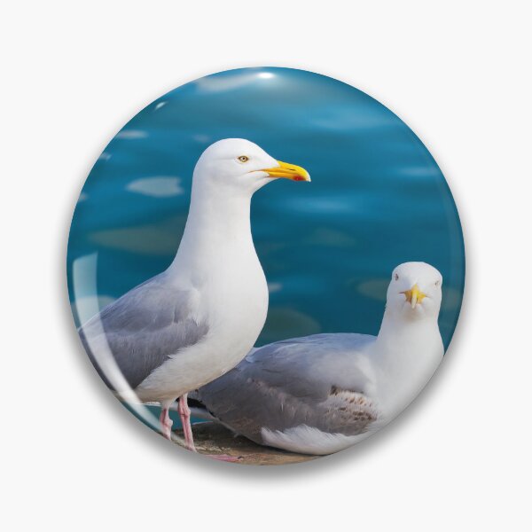 Item preview, Herring Gull - Larus argentatus designed and sold by Dorset Girl.