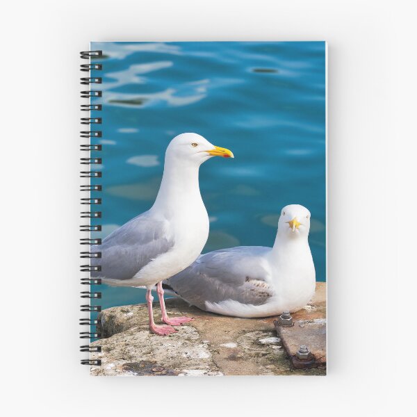 Item preview, Herring Gull - Larus argentatus designed and sold by Dorset Girl.