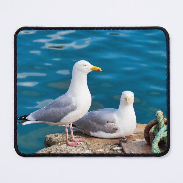 Item preview, Herring Gull - Larus argentatus designed and sold by Dorset Girl.