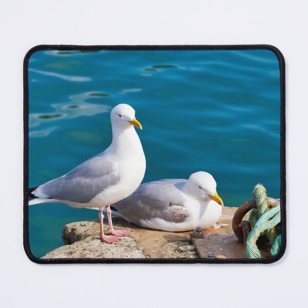 Item preview, Herring Gull - Larus argentatus designed and sold by Dorset Girl.