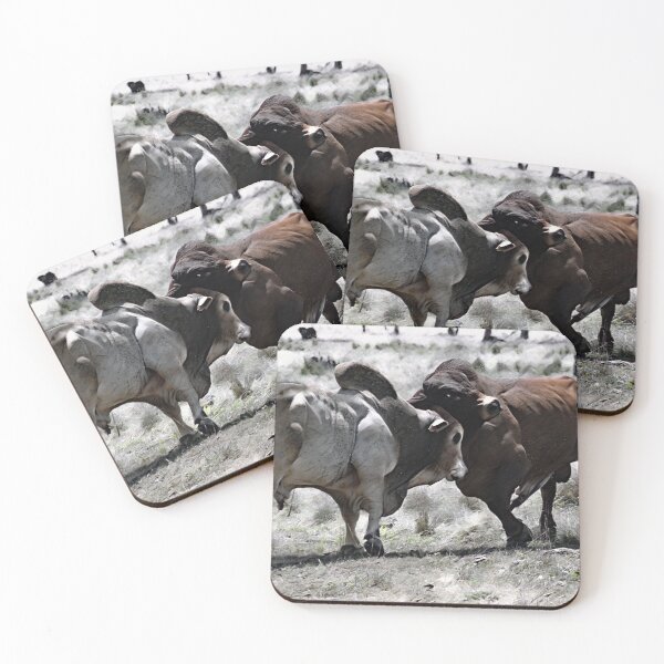 Item preview, BULL FIGHT IN THE OUTBACK, MAKES FOR GREAT WALL ART designed and sold by Barbara Jean Photo Art And Design.