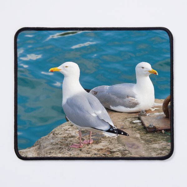Item preview, Herring Gull - Larus argentatus designed and sold by Dorset Girl.