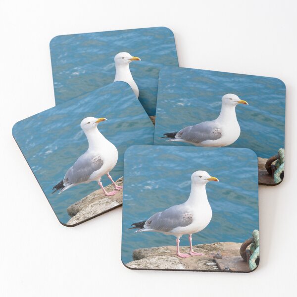 Item preview, Herring Gull - Larus argentatus designed and sold by Dorset Girl.