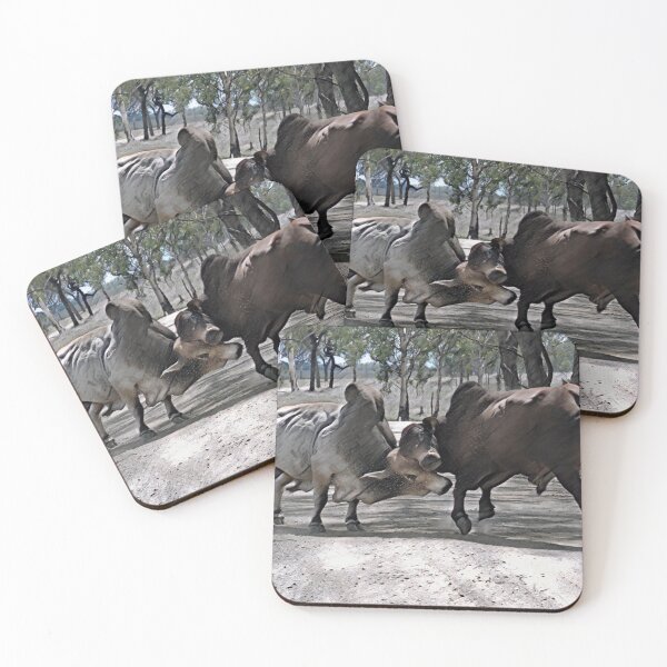 Item preview, BULL FIGHT IN THE OUTBACK, MAKES FOR GREAT WALL ART AND TEES designed and sold by Barbara Jean Photo Art And Design.