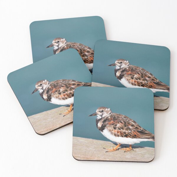 Item preview, Ruddy Turnstone - Arenaria interpres designed and sold by Dorset Girl.