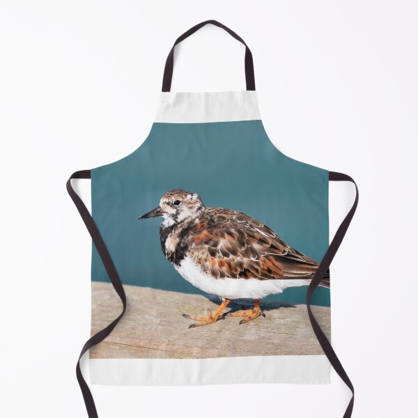 Item preview, Ruddy Turnstone - Arenaria interpres designed and sold by Dorset Girl.