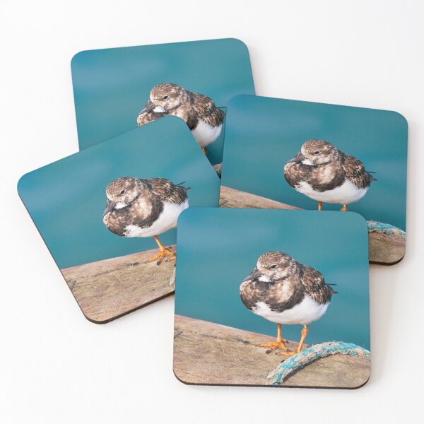 Item preview, Ruddy Turnstone - Arenaria interpres designed and sold by Dorset Girl.