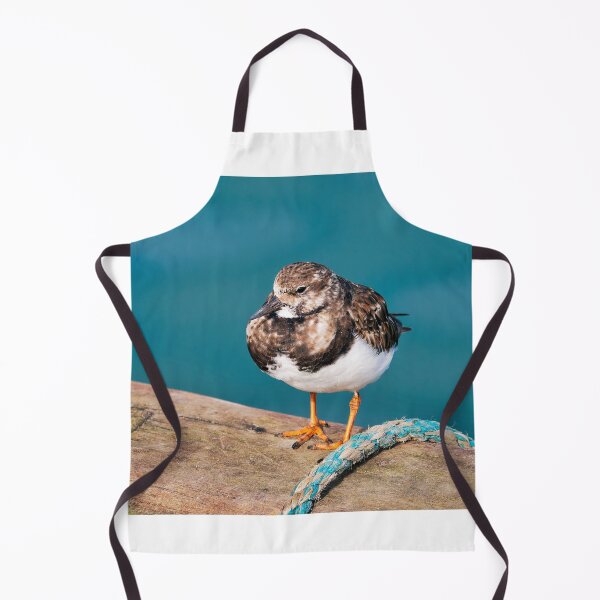 Item preview, Ruddy Turnstone - Arenaria interpres designed and sold by Dorset Girl.