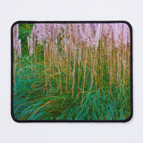 Item preview, Gulbenkian Museum garden. designed and sold by Tereza Pilar Art.