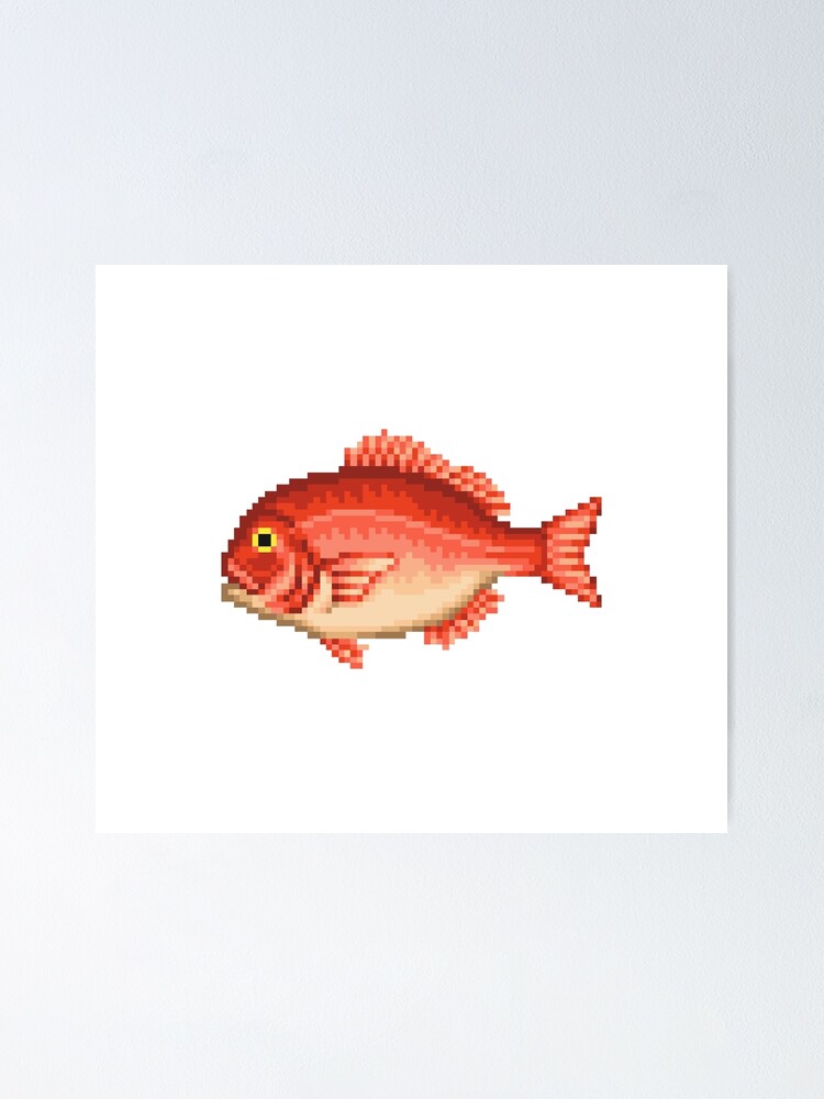 Thumbnail 1 of 3, Poster, Red snapper designed and sold by AlexDelBucco.
