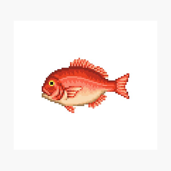 Item preview, Red snapper designed and sold by AlexDelBucco.