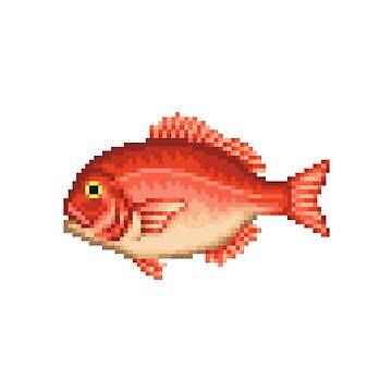 Artwork thumbnail, Red snapper by AlexDelBucco