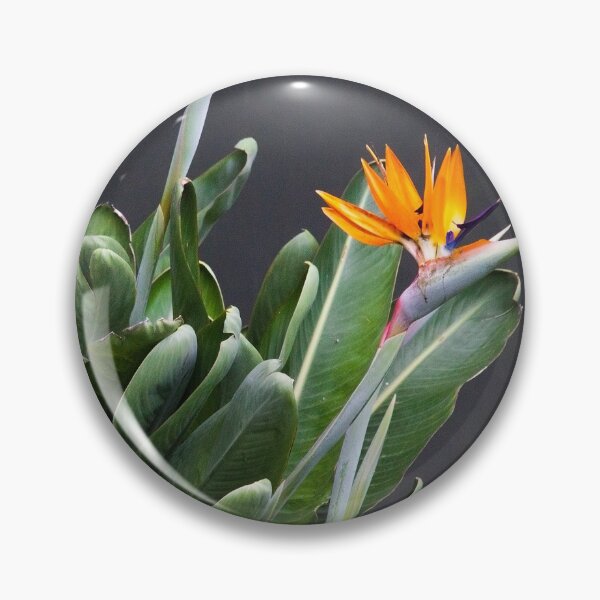 Item preview, the dancer. strelitzia, gulbenkian garden designed and sold by Tereza Pilar  Art.