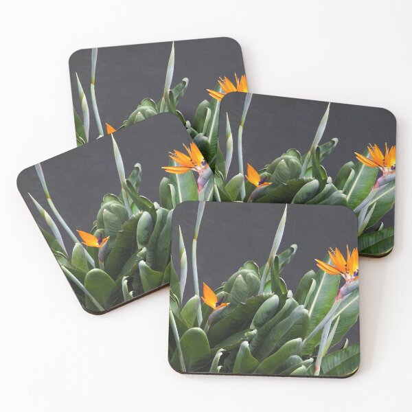 Item preview, the dancer. strelitzia, gulbenkian garden designed and sold by Tereza Pilar  Art.