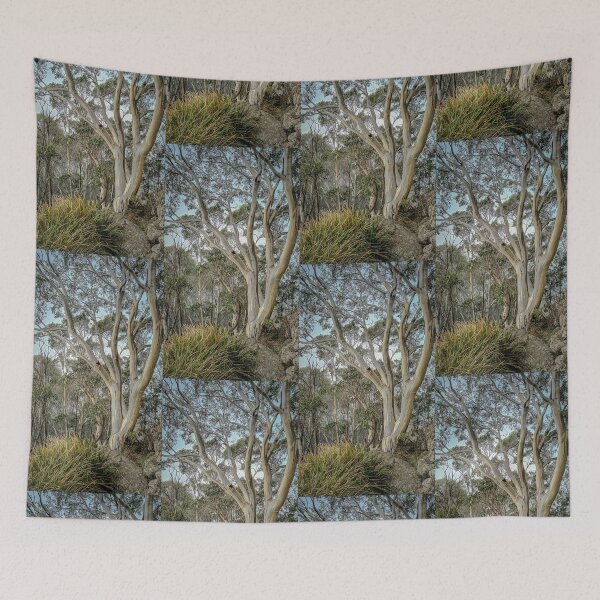 Item preview, Snowgum on Camels Hump - Mt. Macedon, Victoria, Australia designed and sold by Steven Jodoin.