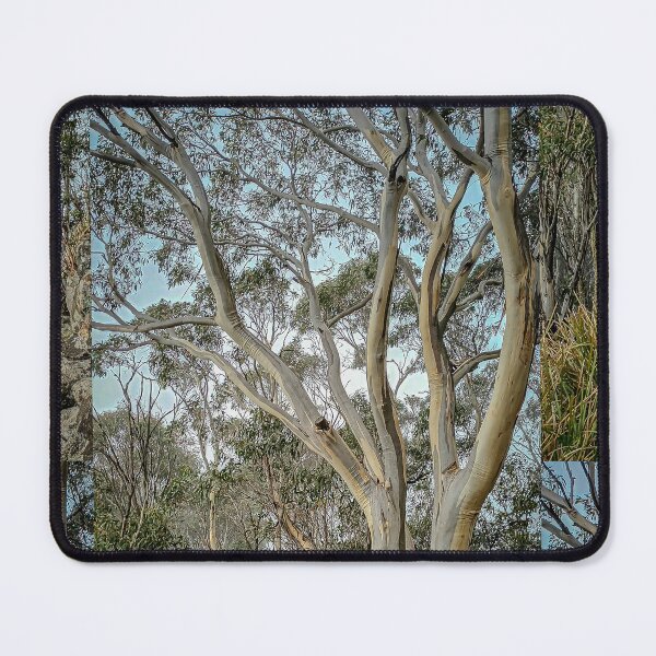 Item preview, Snowgum on Camels Hump - Mt. Macedon, Victoria, Australia designed and sold by Steven Jodoin.