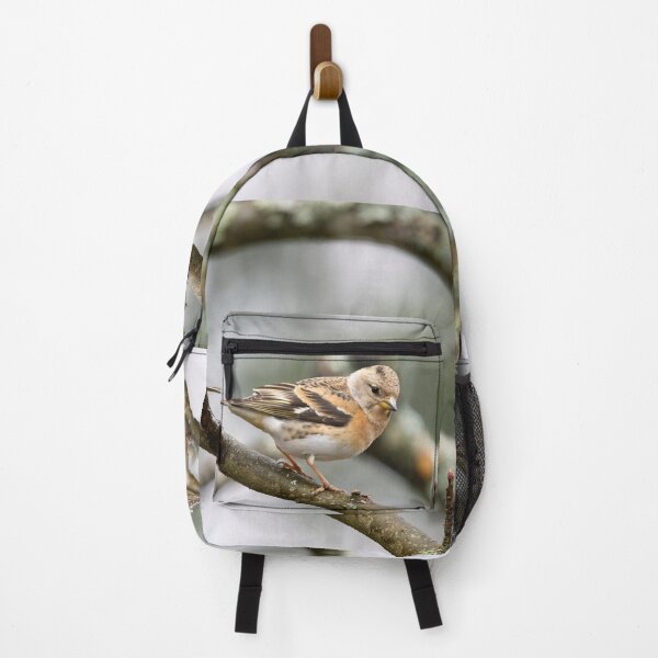 Item preview, Brambling pose designed and sold by Jouko Lehto Photography.