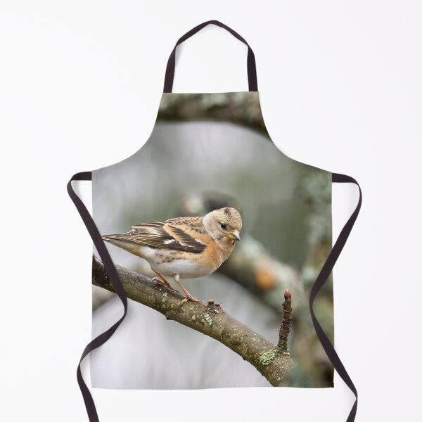 Item preview, Brambling pose designed and sold by Jouko Lehto Photography.
