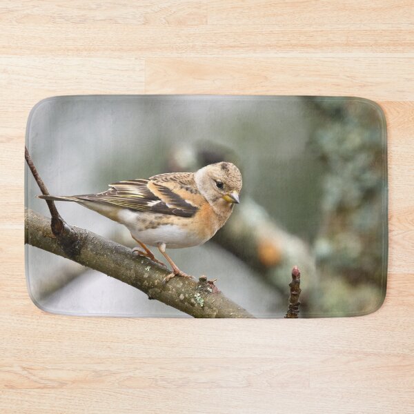 Item preview, Brambling pose designed and sold by Jouko Lehto Photography.
