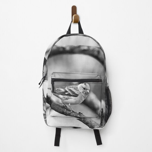 Item preview, Brambling pose bw designed and sold by Jouko Lehto Photography.