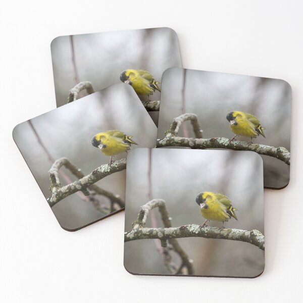 Item preview, Who is there. Eurasian siskin designed and sold by Jouko Lehto Photography.