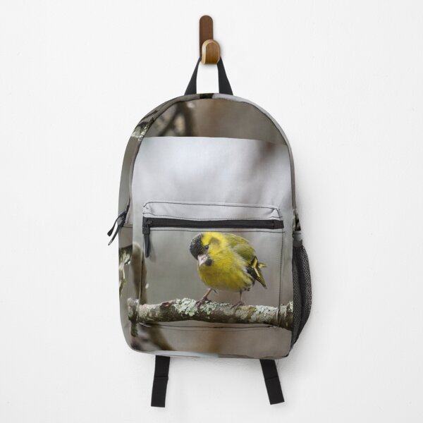 Item preview, Who is there. Eurasian siskin designed and sold by Jouko Lehto Photography.