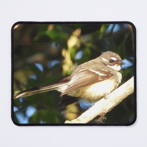 Item preview, Grey Fantail designed and sold by Jenny Dyer.