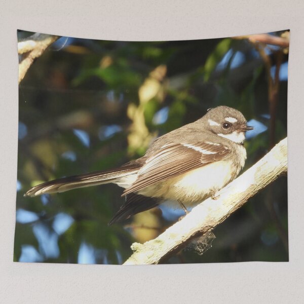 Item preview, Grey Fantail designed and sold by Jenny  Dyer.