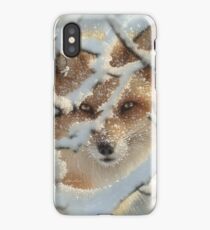 Red Fox "Hide and Seek" iPhone Case/Skin