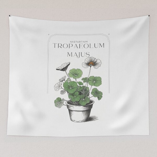 Item preview,  Tropaeolum majus Nasturtium rustic sketch by CallisC Arts ⭐⭐⭐⭐⭐ designed and sold by CallisC-Arts.