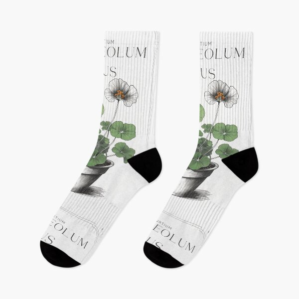 Item preview,  Tropaeolum majus Nasturtium rustic sketch by CallisC Arts ⭐⭐⭐⭐⭐ designed and sold by CallisC-Arts.