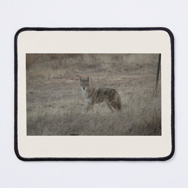 Item preview, Coyote on the Plains designed and sold by Sandy Shiner-Swanson.