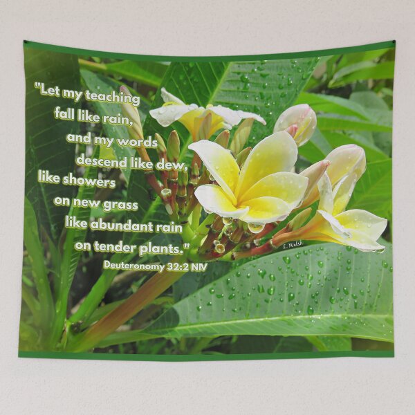 Item preview, Deuteronomy 32:2 and Plumeria Flowers with Raindrops designed and sold by Linda Walsh.