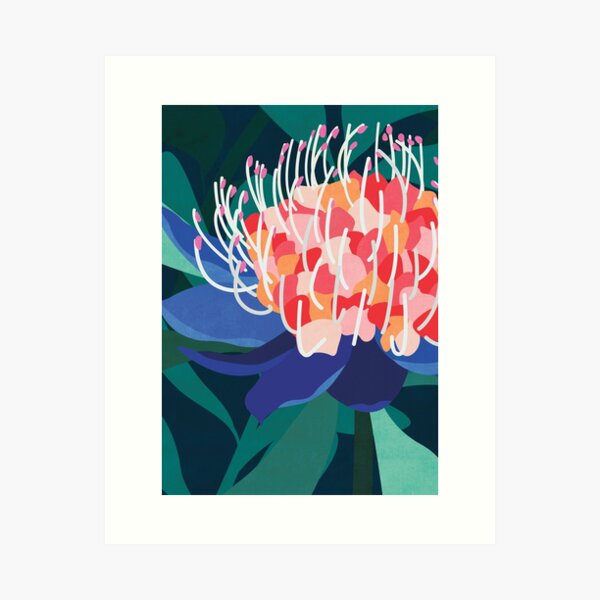 Item preview, Summer Waratah designed and sold by commonwild.